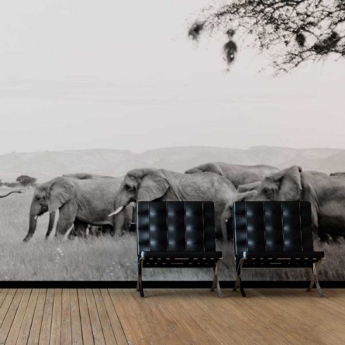 Charge of Elephants